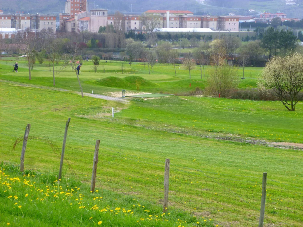 Golfplatz mit saftig grünem Rasen, hohen Bäumen, gelben Blumen im Vordergrund, Gebäuden im Hintergrund, klarem blauen Himmel und Menschen, die Golf spielen.