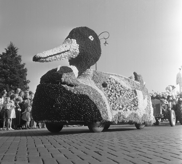 Ein Schwarz-Weiß-Foto eines mit Blumen geschmückten Entenwagens bei einem Umzug, mit Menschen auf der linken Seite und Bäumen und einem klaren Himmel im Hintergrund.