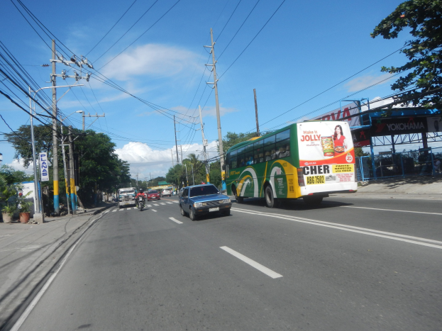 Ein grüner Bus fährt eine Straße entlang, die von Strommasten, Drähten, Bäumen, Pflanzen, Brettern und einem Schuppen gesäumt ist, unter einem bewölkten Himmel.