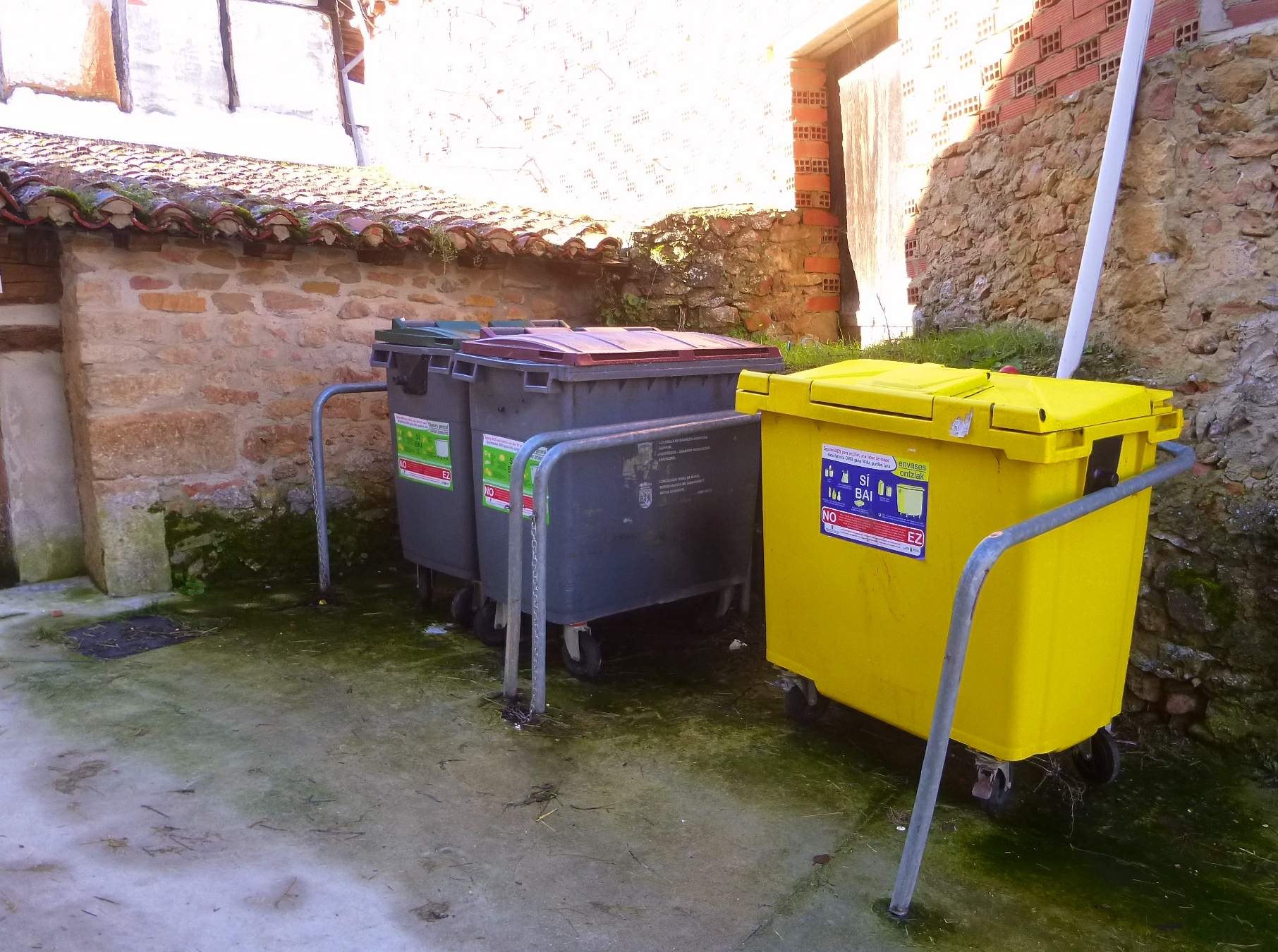 Zwei gelbe und graue Recyclingcontainer mit Rädern nebeneinander vor einem Gebäude mit Wand und Fenster.