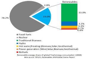 Badenova Innovationsfonds: 866.000 Euro für Klimaprojekte in Südbaden