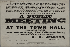 Eine Ankündigung für eine öffentliche Versammlung im Rathhaus in Cardigan am Montag, den 1. November 1858, mit Text, der das Ereignis beschreibt.
