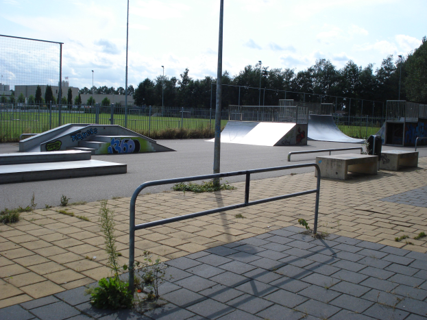 Eine Skate-Anlage mit Rampen, Geländern, Pflanzen, Gras, Pfählen, Bäumen, Gebäuden und einem bewölkten Himmel im Hintergrund.