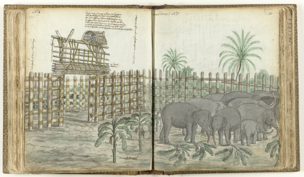 Offenes Buch mit einer Zeichnung von Elefanten in einem Zoogehege, umgeben von Bäumen, Pflanzen und einem Zaun, mit sichtbarem Text auf der Seite.