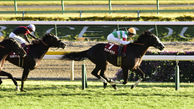 Zwei Jockeys in Helmen lenken Pferde auf einer von Gras, Pflanzen und Blumen umgebenen Bahn, mit einer Umrandung und einer Texttafel im Hintergrund.
