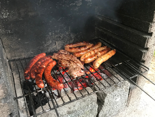 Müll, Grillrückstände und Beschwerden: Wird der Mainzer Volkspark immer dreckiger?