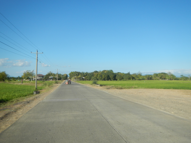 Ein Auto fährt auf einer Straße durch ein offenes Feld mit Gras auf beiden Seiten, Bäumen und Häusern im Hintergrund unter einem klaren blauen Himmel.