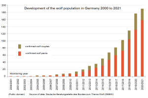 Eine Liniengrafik, die das Wolfsbestandswachstum in Deutschland von 2000 bis 2021 zeigt, mit begleitendem Text, der zusätzliche Datendetails bereitstellt.
