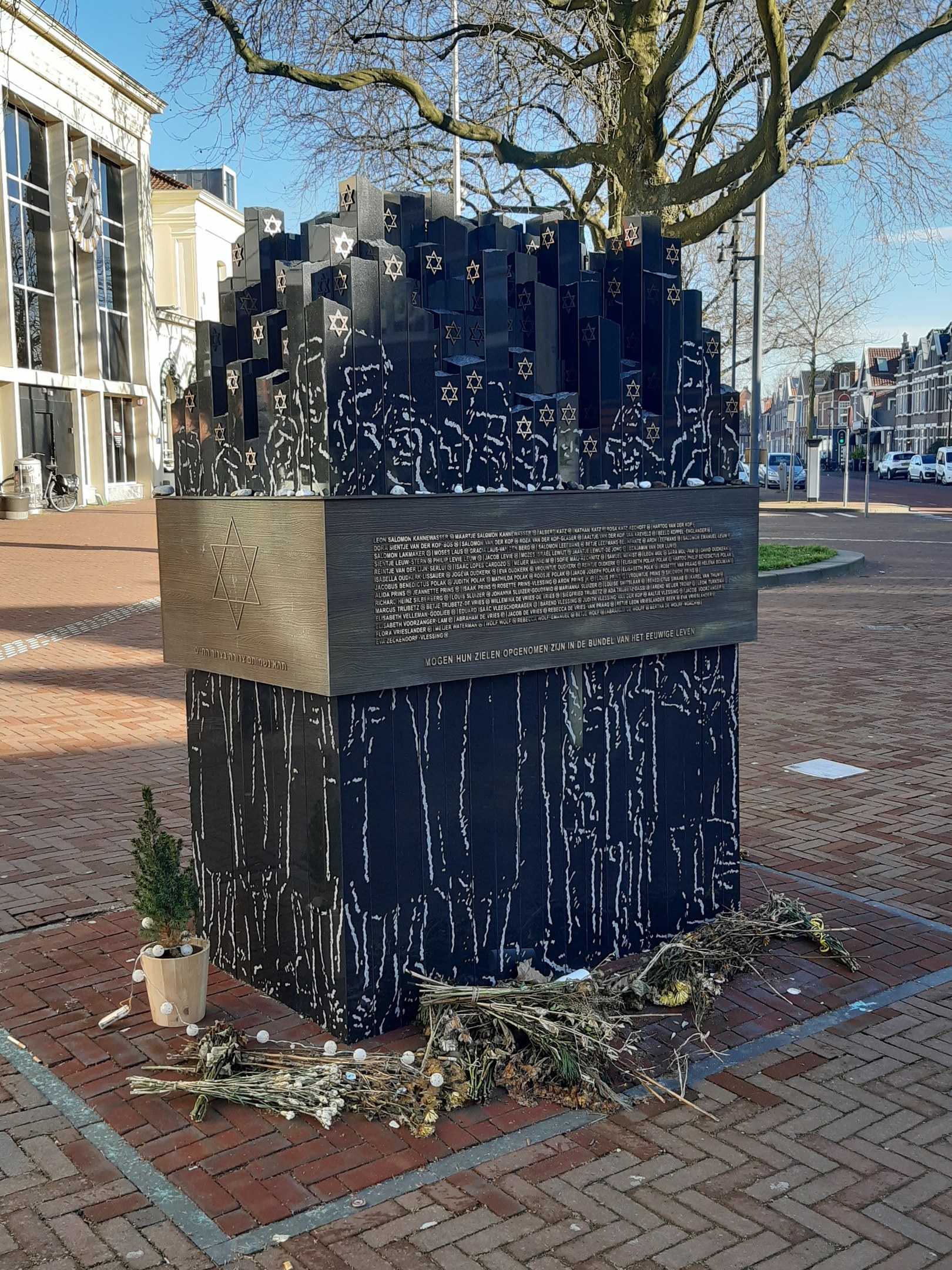 Denkmal für Holocaust-Opfer in einem Stadtplatz mit einem Baum davor, Topfpflanze, verstreuten trockenen Blättern und umgebenden Gebäuden, Fahrzeugen, Masten und Bäumen.
