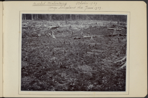Ein Schwarz-Weiß-Foto eines Waldes mit Bäumen und Pflanzen auf dem Boden, mit Text oben auf dem Bild.