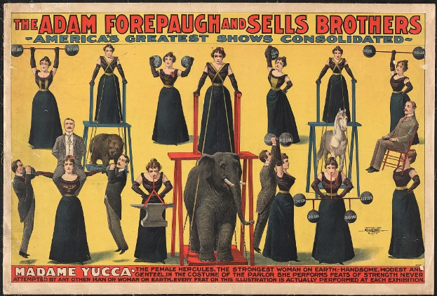 Plakat für die vereinigte Zirkusshow von Adam Forepaugh und Sells Brothers mit Performern auf Hockern und einem Elefanten in der Mitte sowie Werbetext.